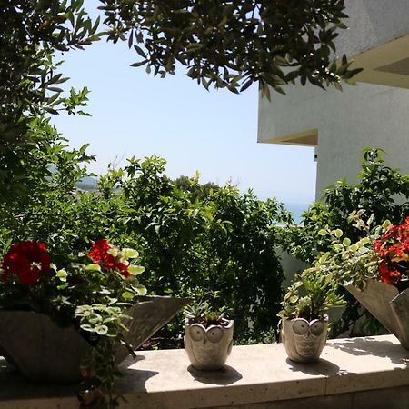 Beautifull Sea View Apartment Baska Voda Bagian luar foto