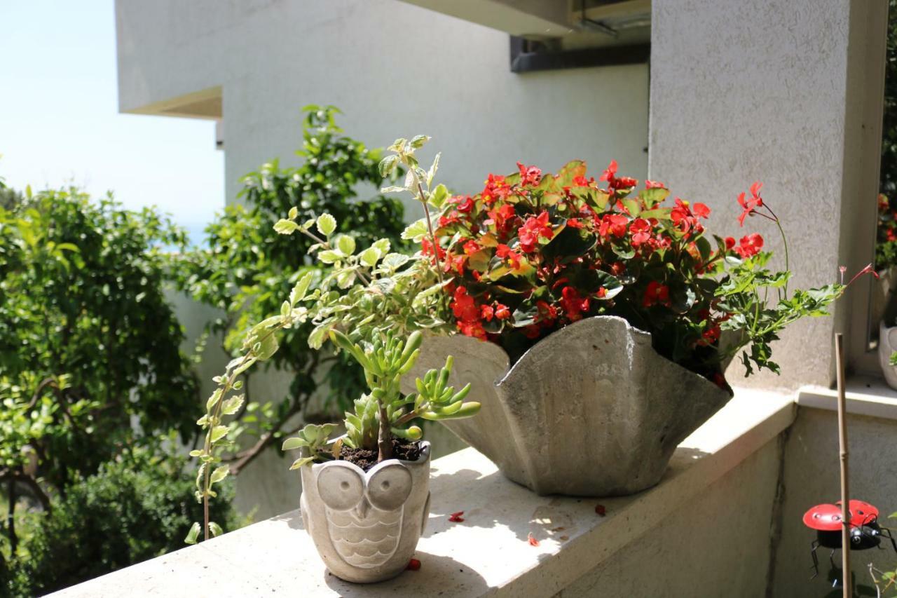 Beautifull Sea View Apartment Baska Voda Bagian luar foto